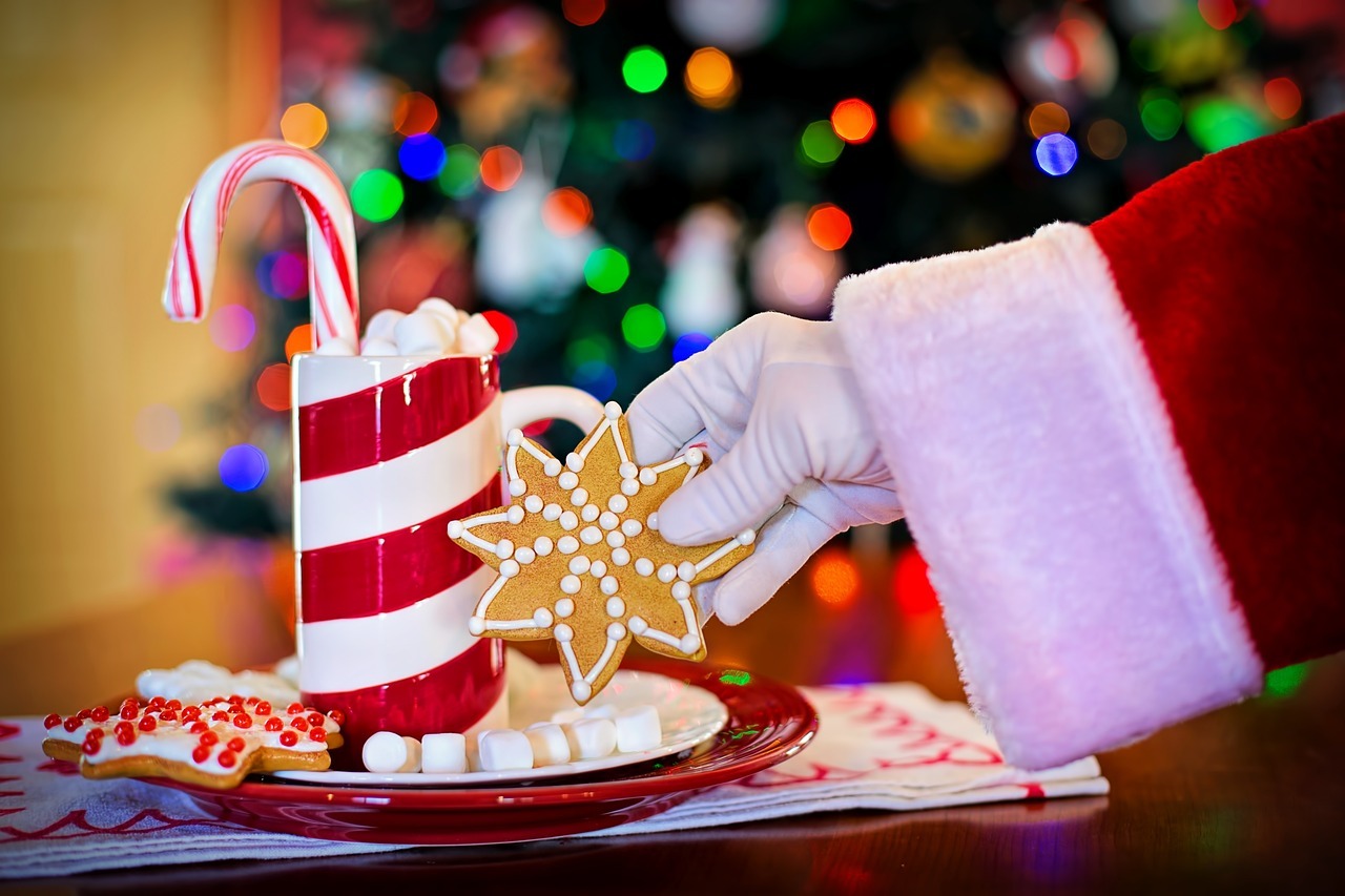 santa claus, hot chocolate, christmas cookies-1906513.jpg